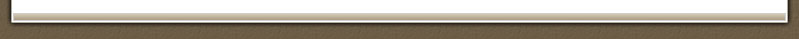 Luxury Homes Houston, Tx footer